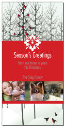 Caroling Christmas Birds Cards with multiple photo 4
